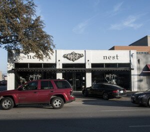 the nest